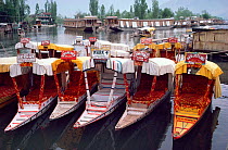 Shikaras for hire on Dal Lake at Srinagar, Kashmir, India, 1986.