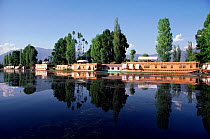 Reflections of houseboats on lake. Nagin, Kashmir, India, 1986.
