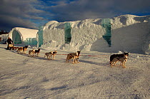 Dogsled in front of the Ice hotel at Jukkasjarvi, Sweden, 2003.
