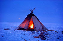 Sami tent / lavvu made from birch poles and blankets with a fire burning inside. North Norway, 1985.
