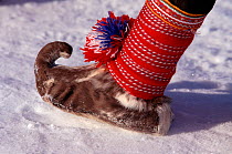 Traditional Sami shoe made from Reindeer (Rangifer tarandus) skin. Norway, 1996.