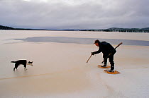Innu hunter with Dog  (Canis familiaris) checking thickness of ice on lake with axe. Southern Labrador, Canada, 1997.