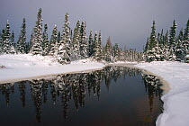 Small river winding through snow covered boreal forest. Labrador, Canada, 1997.