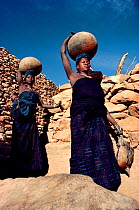 Dogon women fetching water in earthenware jars, each holding 25 litres. Mali, West Africa, 1981.
