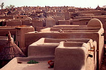 Mud huts and thatched granaries in the Dogon village of Sangha. Mali, West Africa, 1981.