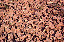 Aerial view of the Dogon village of Sangha. Mali, West Africa, 1981.