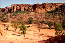 Sandstone cliffs of the Bandiagara escarpment tower 300 feet above Dogon village of Tireli. Mali, West Africa, 1981.