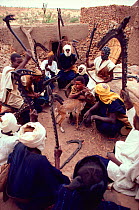 Ancient Tireli society sacrificing Goat (Capra hircus)for celebratory feast. Before the sacrifice, they dance around on a roof wielding their wooden staffs (a symbol of their special fraternity). Mali...