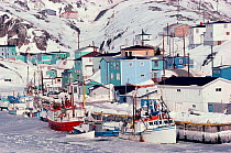 Fishing-boats iced in at Rose Blanche. Newfoundland, Canada, 1992.