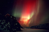 Northern Lights wiith rare red band. Skarsvag, North Norway, 1990.