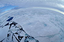 Fish eye photograph of the Polar Pack Ice, with ice floes, leads and meltpools. Arctic Ocean, 1998.