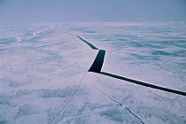 Straight Line Leads in the Polar pack ice. Arctic Ocean, 1998.