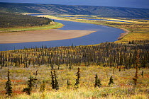 View of Anderson River as it runs through tundra east of Inuvik. North West Territories, Canada, 1996.