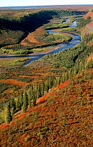 Kugalik River valley in autumn colour. Nunavut, Canada, 1996.