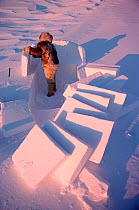 Fur clad Inuk building igloo for hunting shelter. Northwest Greenland, 1980.
