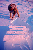 Fur clad Inuk building igloo for hunting shelter. Northwest Greenland, 1980.