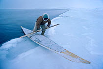 Inuit hunter using kayak to retrieve seal he has shot at ice edge in winter. Thule, Northwest Greenland, 1980.
