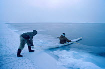 Inuit hunter using kayak to retrieve seal shot at ice edge in winter. Thule, Northwest Greenland, 1980.