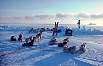 Excited Inuk Mamarut Kristiansen doing handstand on sea ice after successful hunt. Northwest Greenland, 1980.