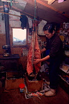 Inuit woman in hunting hut cleaning seal skin. Northwest Greenland, 1980.
