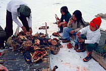 Inuit children eating Kiviat, a delicacy of fermented Guillemot (Uria aalge) at confirmation party in Moriussaq. Northwest Greenland, 1980.
