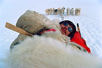 Inuit hunter relaxing on sled during Spring journey by dog sled. Thule, Northwest Greenland, 1980.