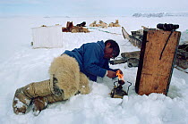 Inuit hunter lighting stove to make tea during rest on Spring seal hunt. Moriussaq, Northwest Greenland, 1980.