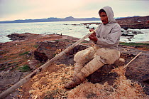 Inuit hunter making kayak harpoon. Northwest Greenland, 1980.