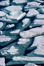 Ice floes as sea ice breaks up in summer off coast of Northwest Greenland, 1980.
