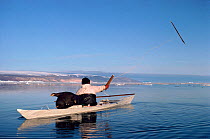 Inuk in kayak hurling harpoon. Northwest Greenland, 1980.