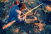 Inuit hunter cleaning Narwhal (Monodon monoceros) tusk for trade. Thule, Northwest Greenland, 1980.