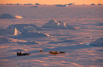 Dog sled crossing sea ice across Meteorite Bay. Savissivik, Northwest Greenland, 1996.