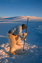 Inuit hunter wearing polar bearskin trousers, making hole in sea ice to set net for catching seals. Northwest Greenland, 1996.