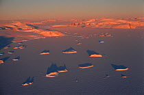 Aerial view of Meteorite Bay showing icebergs frozen into new sea ice. Northwest Greenland, 1996.