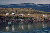 Inuit summer hunting camp on shore of Qingmiuneqarfik. Northwest Greenland, 1985.