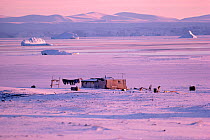Inuit home on raised beach above coast at freeze-up. Moriussaq, Northwest Greenland, 1987.