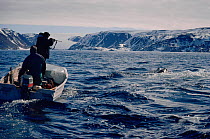 Inuit men hunting Walrus (Obobenus rosmarus) from boat in Smith Sound. Northwest Greenland, 1989.