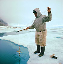 Inuit elder fishing for Sculpin through lead in sea ice. Qaanaaq, Northwest Greenland.