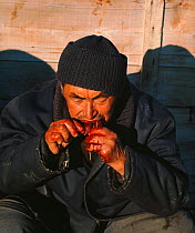Inuit elder eating raw liver. Qaanaaq, Northwest Greenland, 1971.