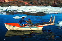 Inuit using boat to transport sled. Qeqertat, Northwest Greenland, 1977.