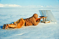 Inuit hunter using white screen hide for camouflage while seal hunting. Northwest Greenland, 1977.