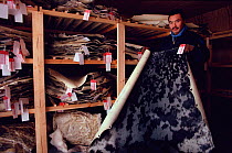 Shopkeeper with seal skins at store in Savissivik, Northwest Greenland, 1991.