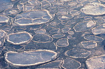 Pancake ice formed in early stages of sea freezing. Northwest Greenland, 1991.