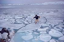 Inuit hunter jumping across pancake ice to get to shore. Savissivik, Northwest Greenland, 1991