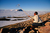 Inuit hunter catching Little auks (Alle alle) with long handled net. Northwest Greenland, 1997.