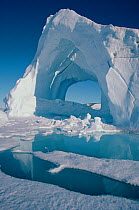 Iceberg surrounded by melting sea ice in summer, Northwest Greenland, 1997.