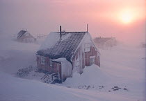 Severe winter storm hitting Inuit community of Savissivik, Northwest Greenland, 1998.