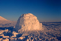 Newly built igloo, Northwest Greenland, 1998.