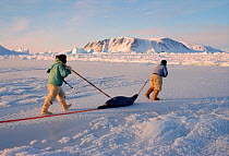 Inuit hunters dragging seal across ice near Cape York. Melville Bay, Northwest Greenland, 1998.