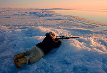 Inuit hunter shooting seal from ice edge in Melville Bay, Northwest Greenland, 1998.